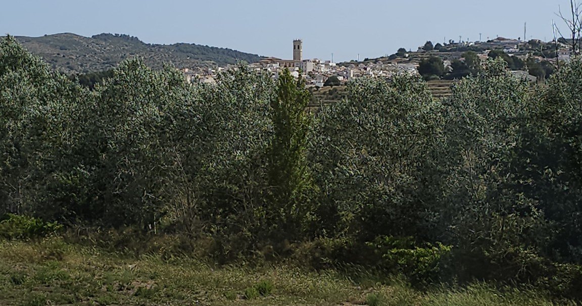 Finca Font de l’Horta · 8